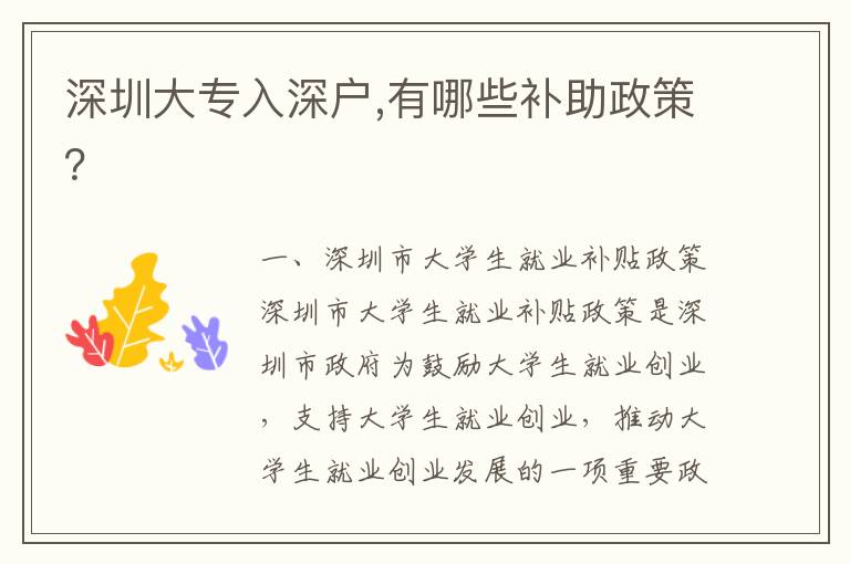 深圳大專入深戶,有哪些補助政策？