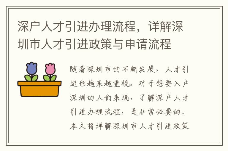 深戶人才引進辦理流程，詳解深圳市人才引進政策與申請流程