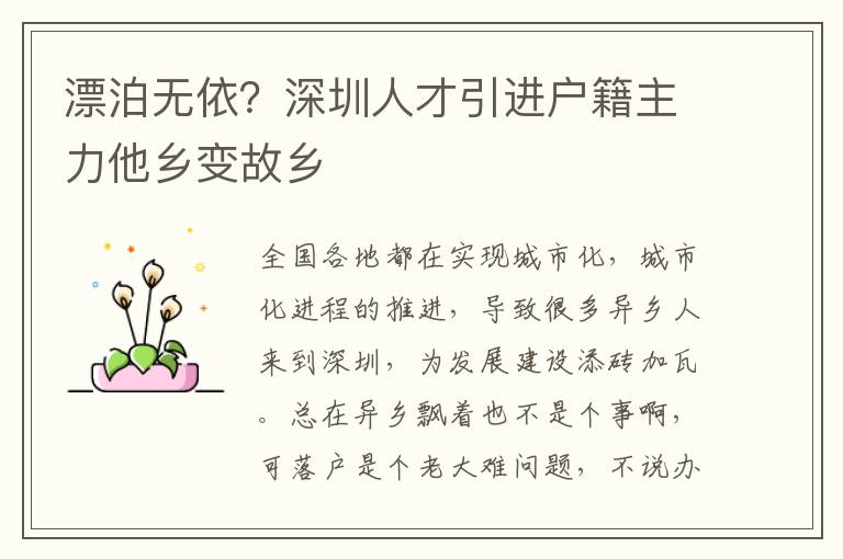 漂泊無依?深圳人才引進戶籍主力他鄉變故鄉