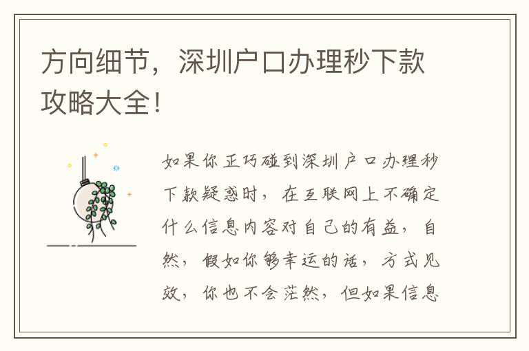 方向細(xì)節(jié)，深圳戶口辦理秒下款攻略大全！