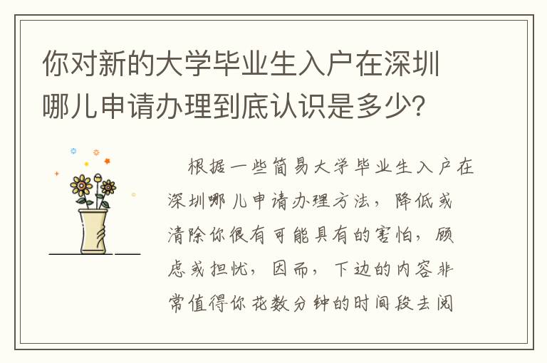你對新的大學畢業生入戶在深圳哪兒申請辦理到底認識是多少？