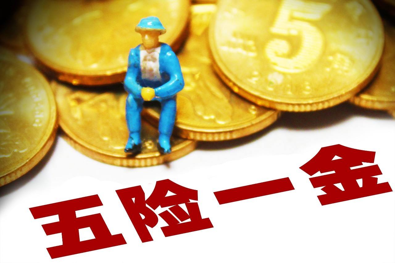 個人如何續交社保？繳費標準是多少？ 第1張