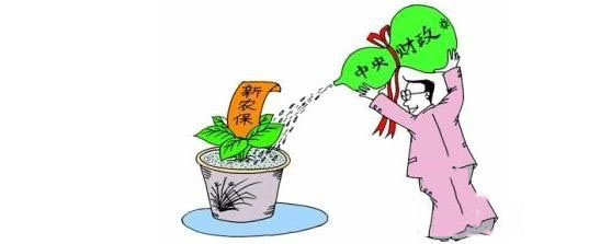 新農(nóng)保怎么繳費(fèi)？ 第1張