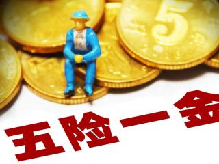 個人如何續交社保？繳費標準是多少？