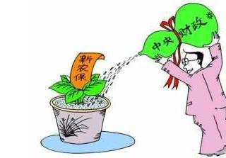 新農(nóng)保怎么繳費(fèi)？
