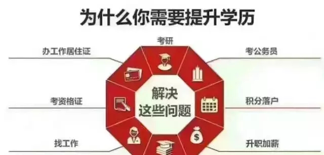 成人高考有什么專業(yè)好?