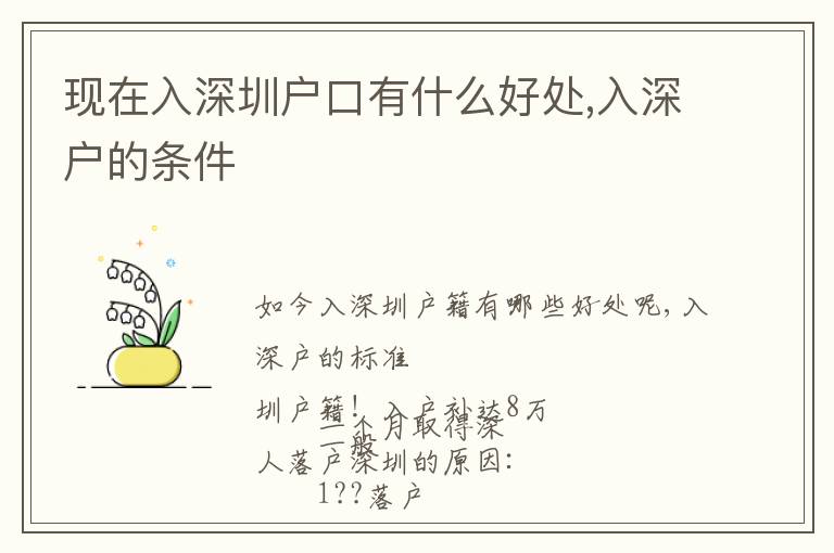 現(xiàn)在入深圳戶口有什么好處,入深戶的條件