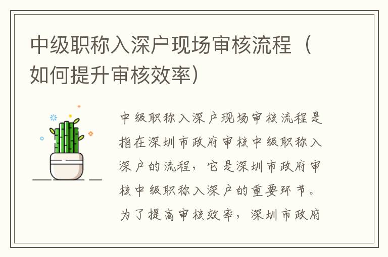 中級(jí)職稱入深戶現(xiàn)場(chǎng)審核流程（如何提升審核效率）