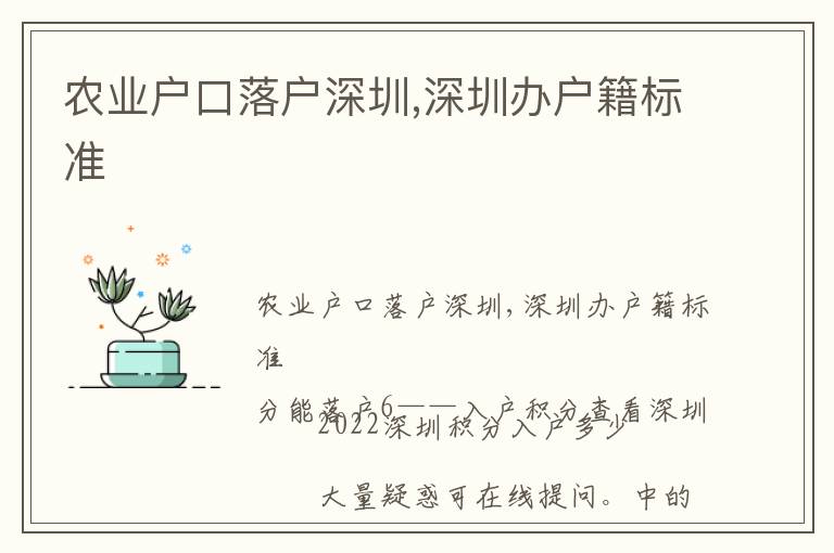 農(nóng)業(yè)戶口落戶深圳,深圳辦戶籍標(biāo)準(zhǔn)