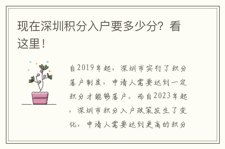 現在深圳積分入戶要多少分？看這里！
