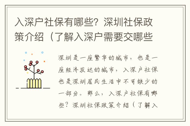 入深戶社保有哪些？深圳社保政策介紹（了解入深戶需要交哪些社保）