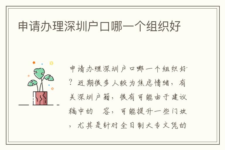 申請(qǐng)辦理深圳戶口哪一個(gè)組織好