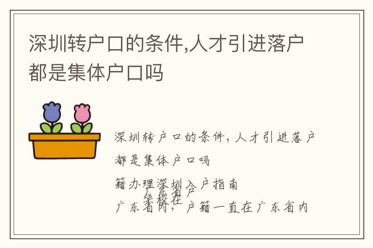 深圳轉(zhuǎn)戶口的條件,人才引進(jìn)落戶都是集體戶口嗎