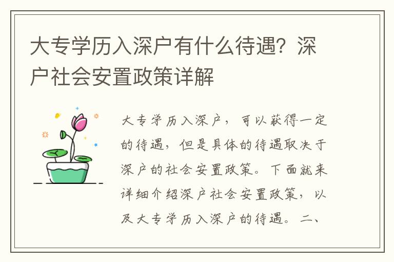 大專學(xué)歷入深戶有什么待遇？深戶社會安置政策詳解