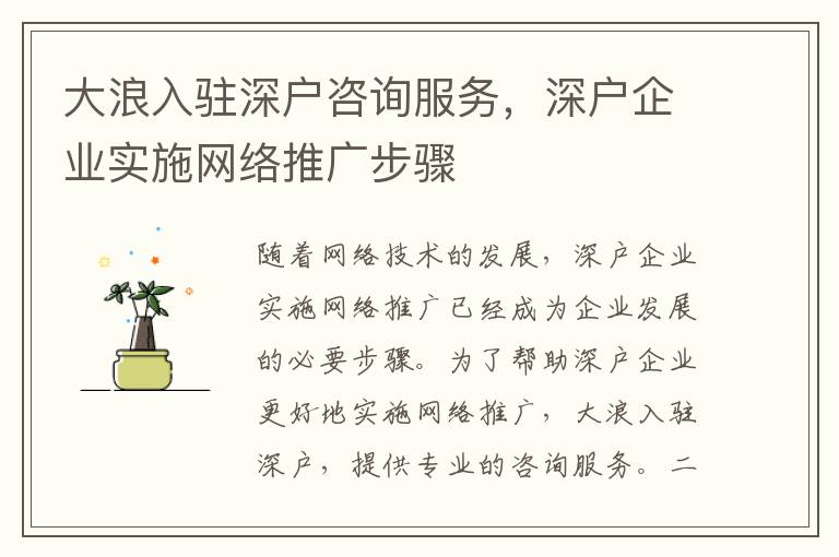 大浪入駐深戶咨詢服務(wù)，深戶企業(yè)實施網(wǎng)絡(luò)推廣步驟