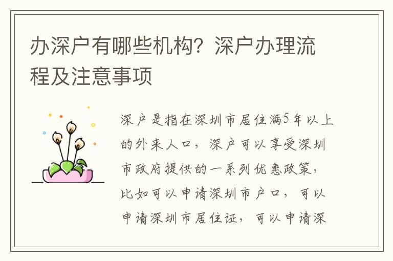 辦深戶有哪些機(jī)構(gòu)？深戶辦理流程及注意事項(xiàng)