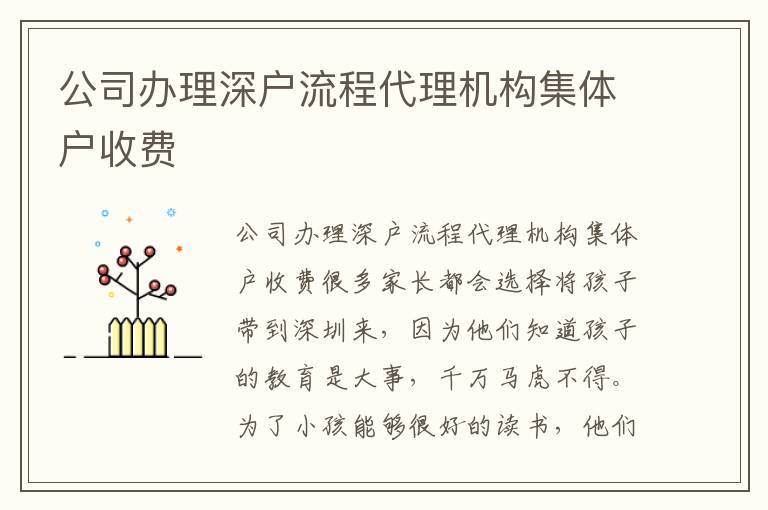 公司辦理深戶流程代理機(jī)構(gòu)集體戶收費(fèi)