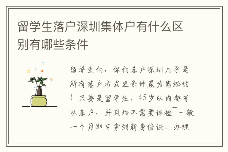留學(xué)生落戶深圳集體戶有什么區(qū)別有哪些條件