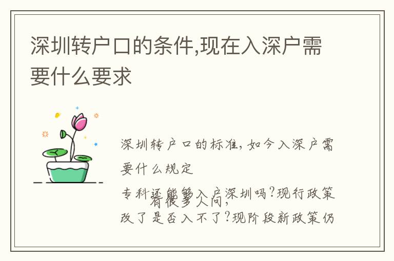 深圳轉(zhuǎn)戶口的條件,現(xiàn)在入深戶需要什么要求