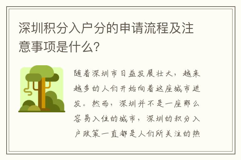 深圳積分入戶分的申請流程及注意事項是什么