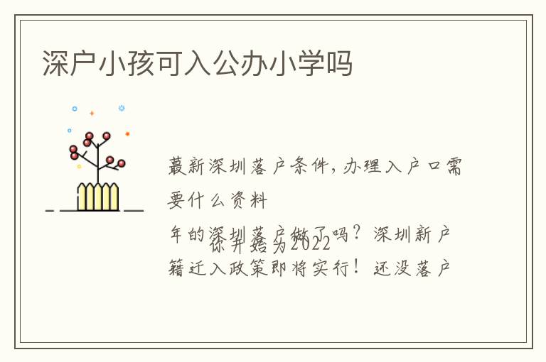 深戶小孩可入公辦小學(xué)嗎