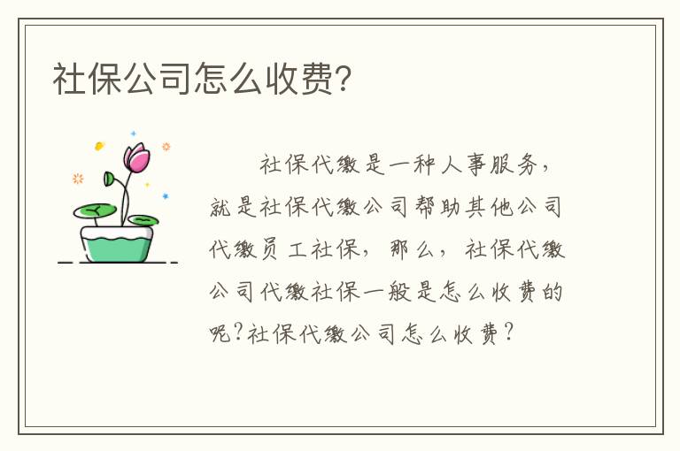 社保公司怎么收費(fèi)？