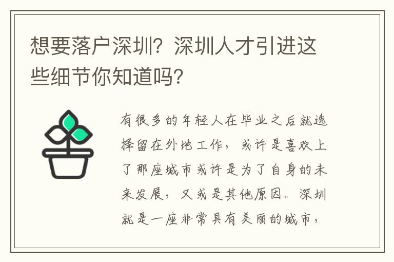 想要落戶深圳?深圳人才引進這些細節你知道嗎?